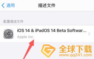 IOS14.2beta更新升级到正式版教程