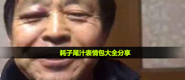 耗子尾汁表情包大全分享