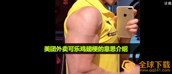 美团外卖可乐鸡翅梗的意思介绍