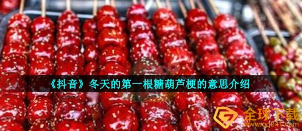 《抖音》冬天的第一根糖葫芦梗的意思介绍