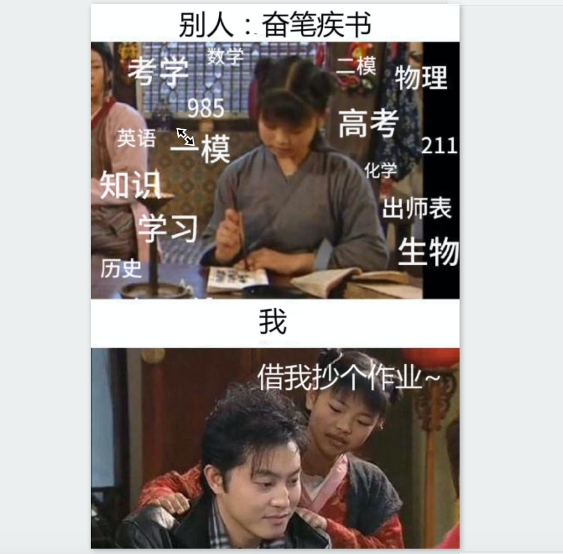 双11复读生梗的意思介绍