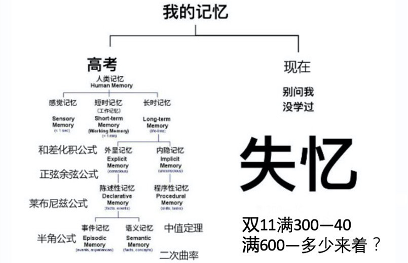 双11复读生梗的意思介绍