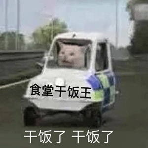 干饭人表情包大全分享