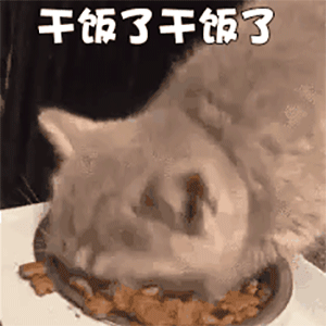 干饭人表情包大全分享