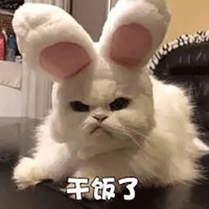 干饭人表情包大全分享