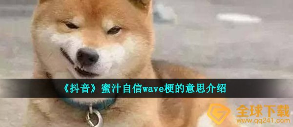 《抖音》蜜汁自信wave梗的意思介绍