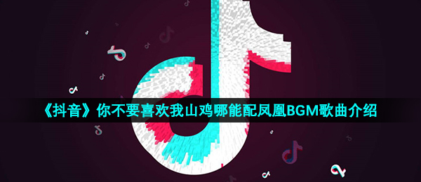 《抖音》你不要喜欢我山鸡哪能配凤凰BGM歌曲介绍