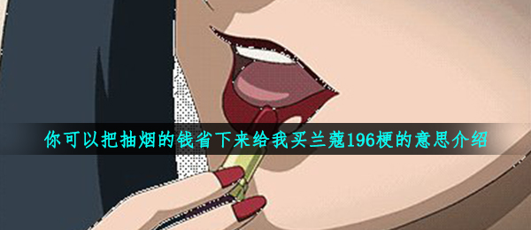 你可以把抽烟的钱省下来给我买兰蔻196梗的意思介绍