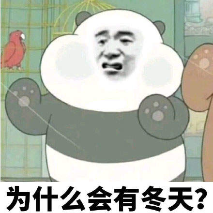 手脚冰凉的跟s了好几天样的 冬天别来了 没命过表情包大全分享
