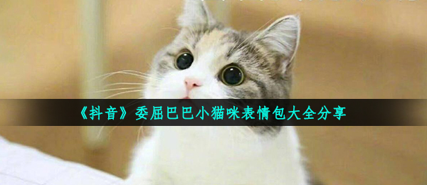 《抖音》委屈巴巴小猫咪表情包大全分享