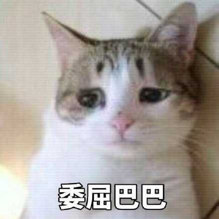 《抖音》委屈巴巴小猫咪表情包大全分享