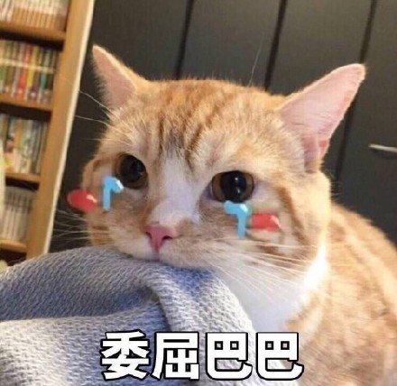 《抖音》委屈巴巴小猫咪表情包大全分享