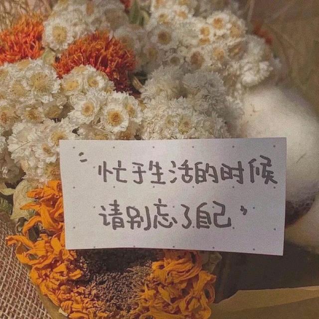 《微信》适合发朋友圈的暖心文案的图文分享