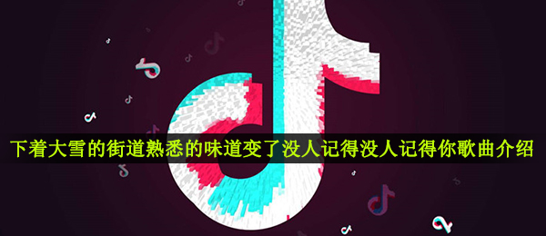 《抖音》下着大雪的街道熟悉的味道变了没人记得没人记得你歌曲介绍
