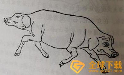 你又在山海经的哪一页梗的意思介绍