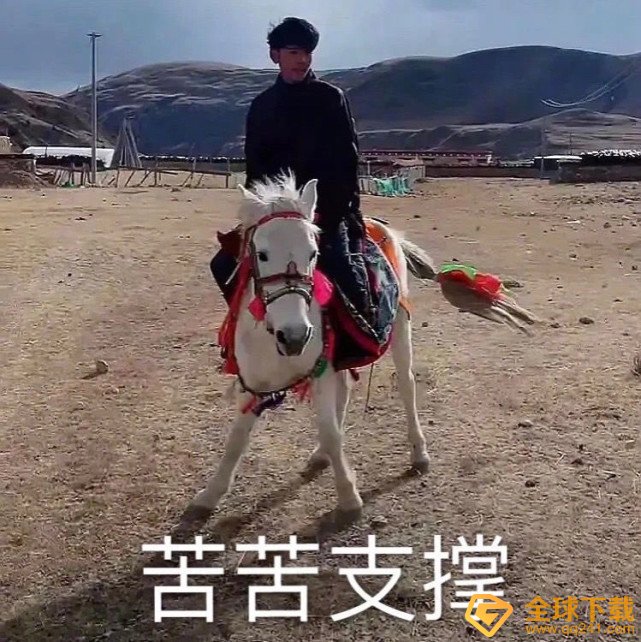 《抖音》丁真表情包分享