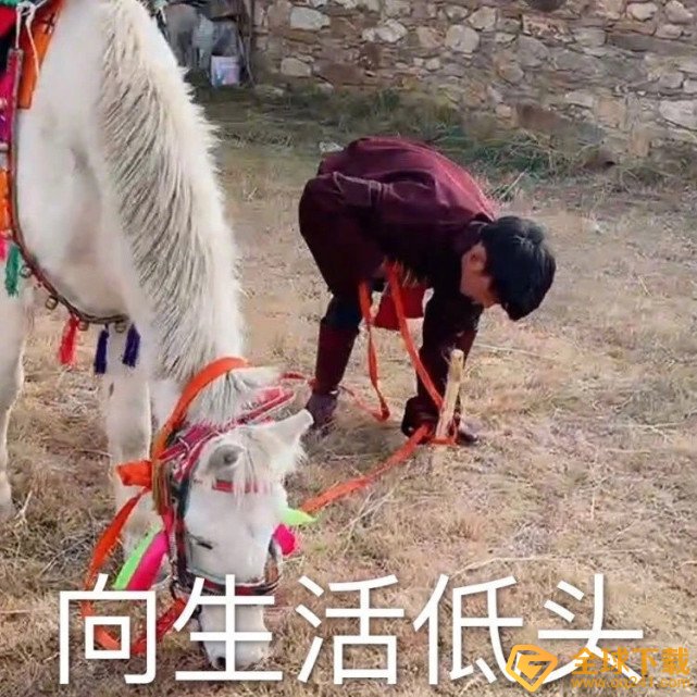《抖音》丁真表情包分享