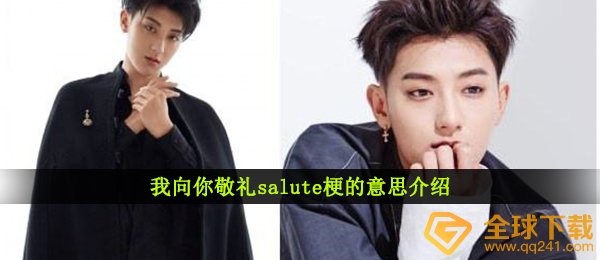 我向你敬礼salute梗的意思介绍