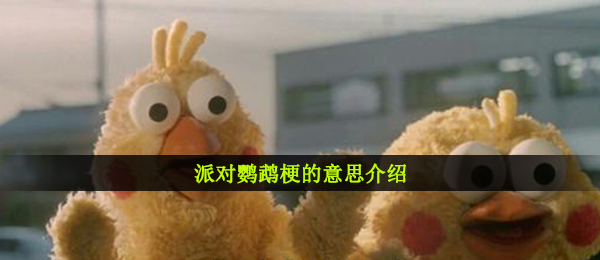 派对鹦鹉梗的意思介绍