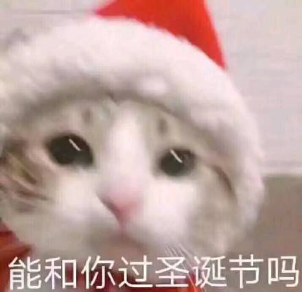 你想要跟我过圣诞吗最新表情包大全分享