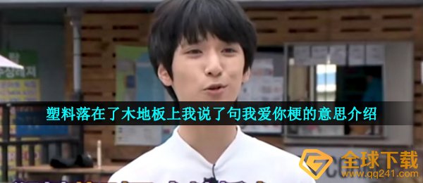 塑料落在了木地板上我说了句我爱你梗的意思介绍