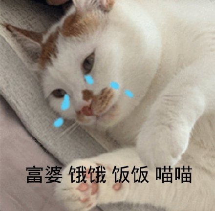 饿饿饭饭最新热门表情包大全分享