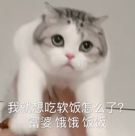 饿饿饭饭最新热门表情包大全分享
