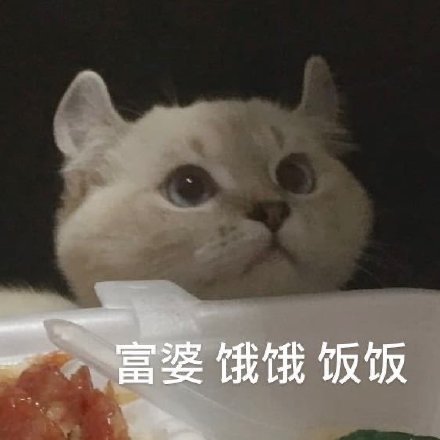 饿饿饭饭最新热门表情包大全分享