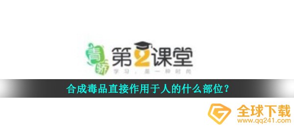 合成毒品直接作用于人的什么部位？