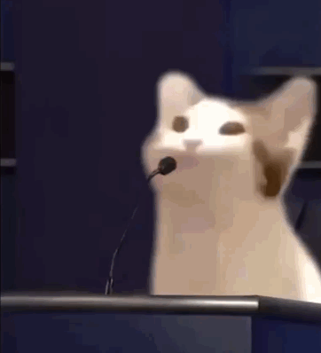 popcat啵嘴猫GIF表情包大全