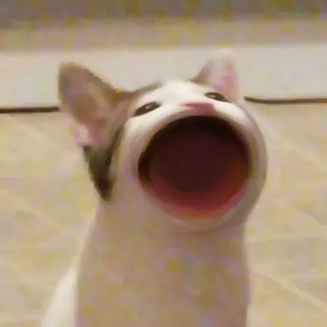 popcat啵嘴猫GIF表情包大全