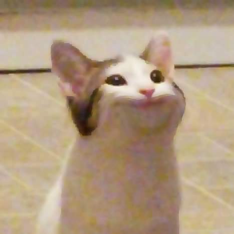 popcat啵嘴猫GIF表情包大全