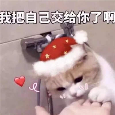 《抖音》圣诞节表情包分享