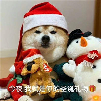 《抖音》圣诞节表情包分享