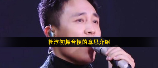 杜淳初舞台梗的意思介绍