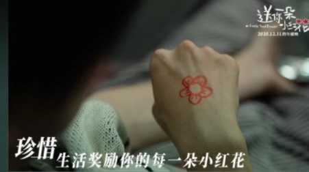 送你一朵小红花经典台词语录大全