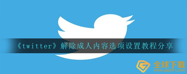 《twitter》解除成人内容选项设置教程分享