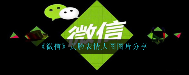 《微信》黄脸表情大图图片分享