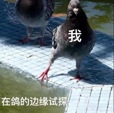 他明明那么普通却又那么自信表情包大全分享