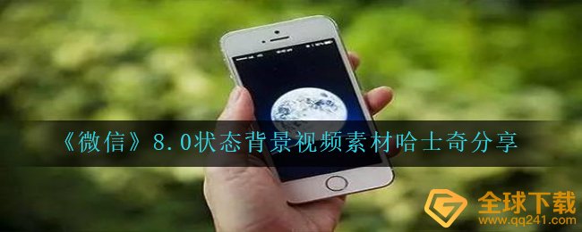 《微信》8.0状态背景视频素材哈士奇分享