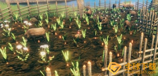 《Valheim英灵神殿》种地方法分享