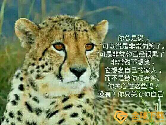 你不知道你不在乎你只关心你自己梗意思说明