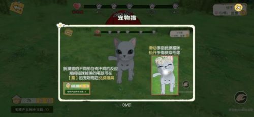 小森生活怎么养猫?小森生活猫咪领养方法 小森生活怎么养猫?小森生活猫咪领养方法