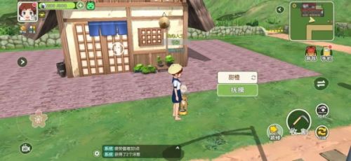 小森生活怎么养猫?小森生活猫咪领养方法 小森生活怎么养猫?小森生活猫咪领养方法