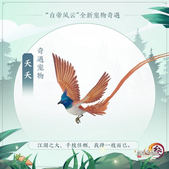 夭夭