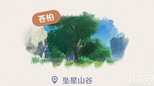 原神垂香木苍柏分布位置介绍 苍柏获取方法 原神垂香木苍柏分布位置介绍 苍柏获取方法