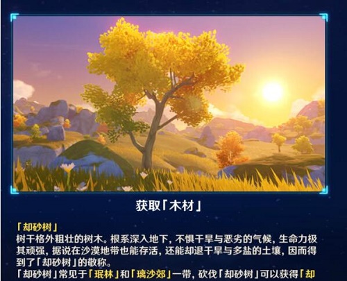 原神却砂木哪里多 却砂木位置分布大全 原神却砂木哪里多 却砂木位置分布大全