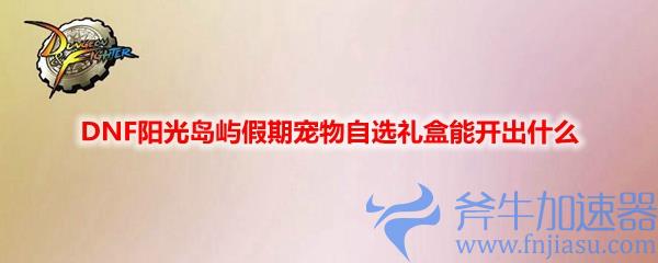 DNF阳光岛屿假期宠物自选礼盒能开出什么