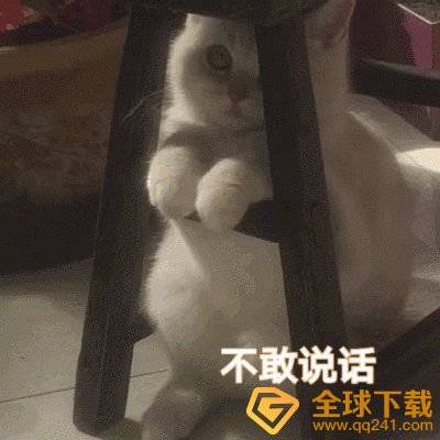 《抖音》梦女梗的介绍