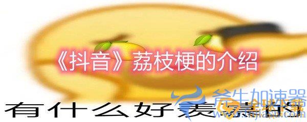 《抖音》荔枝梗的介绍